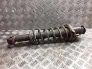 Stoßdämpfer links hinten Toyota Corolla Verso (E12J1) 4853002290