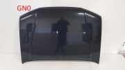 Motorhaube NISSAN NP300 NAVARA (D40) 2.5 dCi 4WD 65100EB330