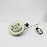 Kraftstofftankpumpe AUDI A4 (8K2, B8) S4 quattro 8K0991673K 1019596001