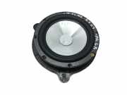 Türlautsprecher vorne links