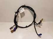 Kabelbaum RENAULT KOLEOS II 2.0 dCi 175 4WD 282437660R