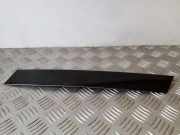Türpolsterverkleidung hinten links MERCEDES-BENZ R (W251, V251) R 320 CDI 4-matic (251.022, 251.122) 2516700587