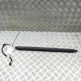 Heckklappe Gasdruckfeder rechts ALFA ROMEO STELVIO (949_) 2.2 D Q4 505502580