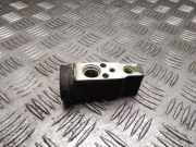 Expansionsventil für Klimaanlage Hyundai Santa Fe I (SM)