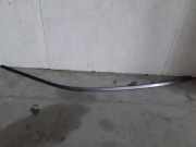 Dachleiste links BMW 5 (G30) 520 d