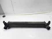 Ladeluftkühler VW POLO (6R, 6C) 1.2 TDI W9450002