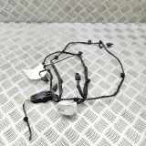 Kabelbaum Hinteren Parksensoren