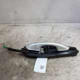 Türaußengriff links FORD GALAXY III (CK) 2.0 TDCi DS73F224N03BF