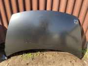 Motorhaube CITROËN C3 Pluriel (HB_) 1.4