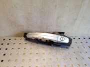 Türaußengriff hinten links FORD FOCUS C-MAX 1.6 TDCi