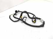 Kabelbaum Citroen DS4 (NX) 9673369680