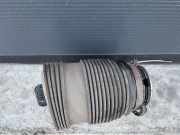 Stoßdämpfer rechts hinten Mercedes-Benz GLC (X253) A2133280200