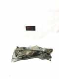 Heckscheibenwischermotor RENAULT 19 I (B/C53_) 1.7 (B/C53B) 53210011 7700779045