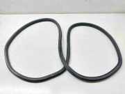 Türdichtung VW Caddy III Kasten (2KA)