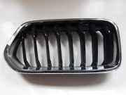 Vorderer oberer Gitter BMW X2 (F39) X2 sDrive18d 7424778B
