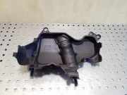 Motorabdeckung RENAULT KADJAR (HA_, HL_) 1.5 dCi 110 175B15263R 175B10888R