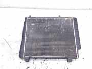 Kühlkörper MERCEDES-BENZ C (W202) C 220 D (202.121) 2025003403