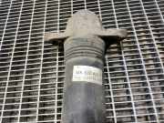 Stoßdämpfer hinten rechts VW ID.3 (E11) Pro 1EA512011AD