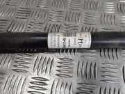 Stoßdämpfer hinten links