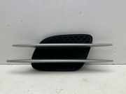 Gitter MERCEDES-BENZ SL (R230) 500 (230.471) A2306900236