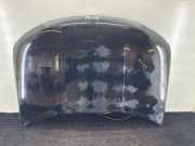 Motorhaube JEEP COMPASS (MK49) 2.0