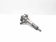 Einspritzdüse FORD C-MAX II (DXA/CB7, DXA/CEU) 1.6 TDCi 9674973080