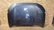 Motorhaube TOYOTA RAV 4 V (A5, H5) 2.5 Hybrid AWD (AXAP54) B018728