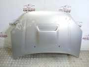 Motorhaube Toyota RAV 4 II (A2)