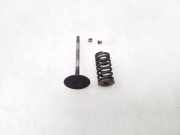 Einlassventile NISSAN MURANO I (Z50) 3.5 4x4