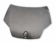 Motorhaube RENAULT LAGUNA Coupe (DT0/1) 2.0 dCi