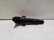 Zündspule KIA SOUL II (PS) 1.6 GDI 273012B100