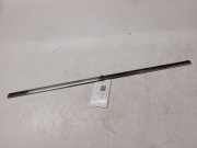 Türverkleidung links hinten Citroen C4 Grand Picasso (U)