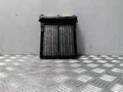 Elektrischer Schulterschulterkühler VOLVO S80 II (AS) D5 6G9N18D612AB