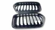 Gitter BMW X2 (F39) X2 sDrive18d 7424777B