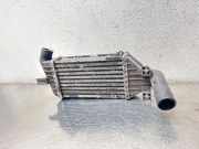 Ladeluftkühler OPEL ASTRA G Coupe (F07_) 2.2 DTI 33629 9129353