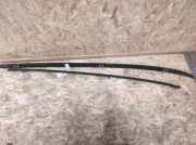 Dachreling links Ford C-Max ()