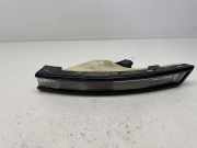 Blinker vorne links VW PASSAT Variant B6 (3C5) 1.6 TDI 3C0807717