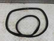 Türgummi rechts hinten Renault Zoe (BFM)