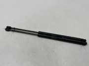 Heckklappe Gasdruckfeder links CITROËN C-CROSSER (EP_) 2.2 HDi 1242VW0420N 5802A303