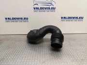 Luftdüsengehäuse Renault Trafic III Kasten (FG) 165555514R