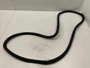 Türdichtung VW Tiguan I (5N) 5N0867913