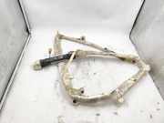 SRS Modul Dach links AUDI A6 Avant (4B5, C5) 1.9 TDI 048FCD22C1BP 4B9880741