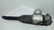 Stoßdämpfer links hinten VW Phaeton (3D) 3D0616001K