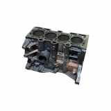 Motorblock RENAULT MEGANE II (BM0/1_, CM0/1_) 1.5 dCi K9K832