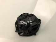 Stellelement für Außenspiegel links Renault Twingo II (CN0) 20010000