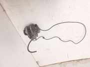 Bremssattel rechts hinten Mercedes-Benz E-Klasse (W211)