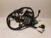 Kabel Tür Peugeot 3008 II (MC, MR, MJ, M4) 9829069980