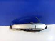 Türaußengriff hinten links