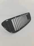 Gitter vorne unten BMW 1 Coupe (E82) 123 d 8045432