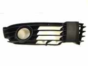 Gitter vorne unten VW PASSAT B5 (3B3) 1.9 TDI 3B0 853 666 L B41